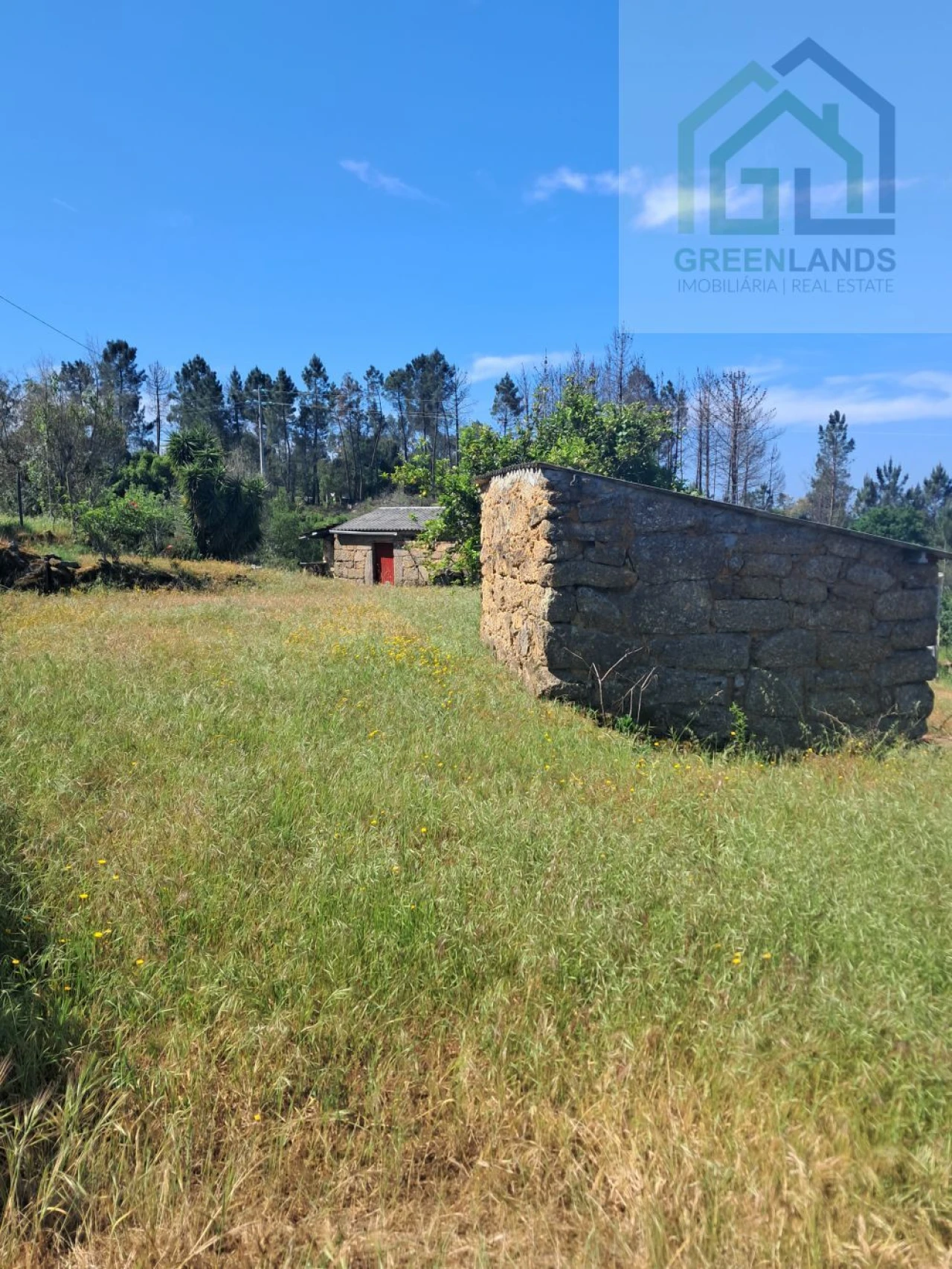 Quinta T2 para Venda em Povoa de Midões Foto 5