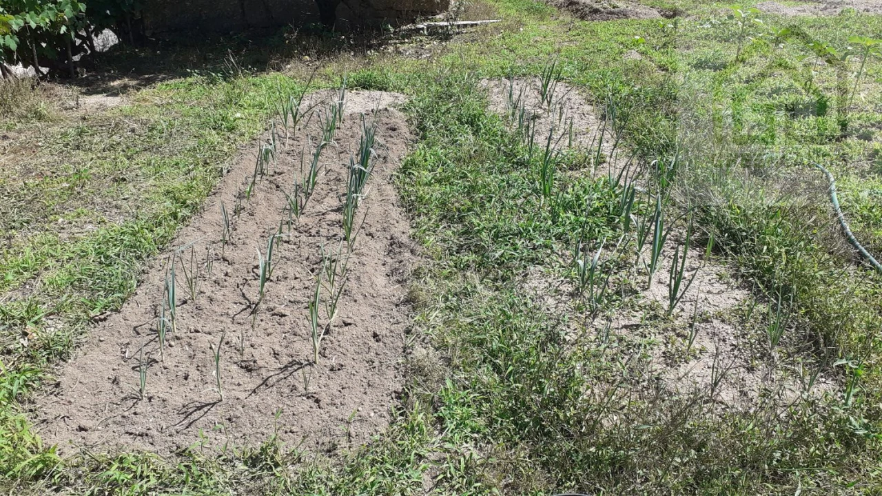 Quinta T2 para Venda em Povoa de Midões Foto 15