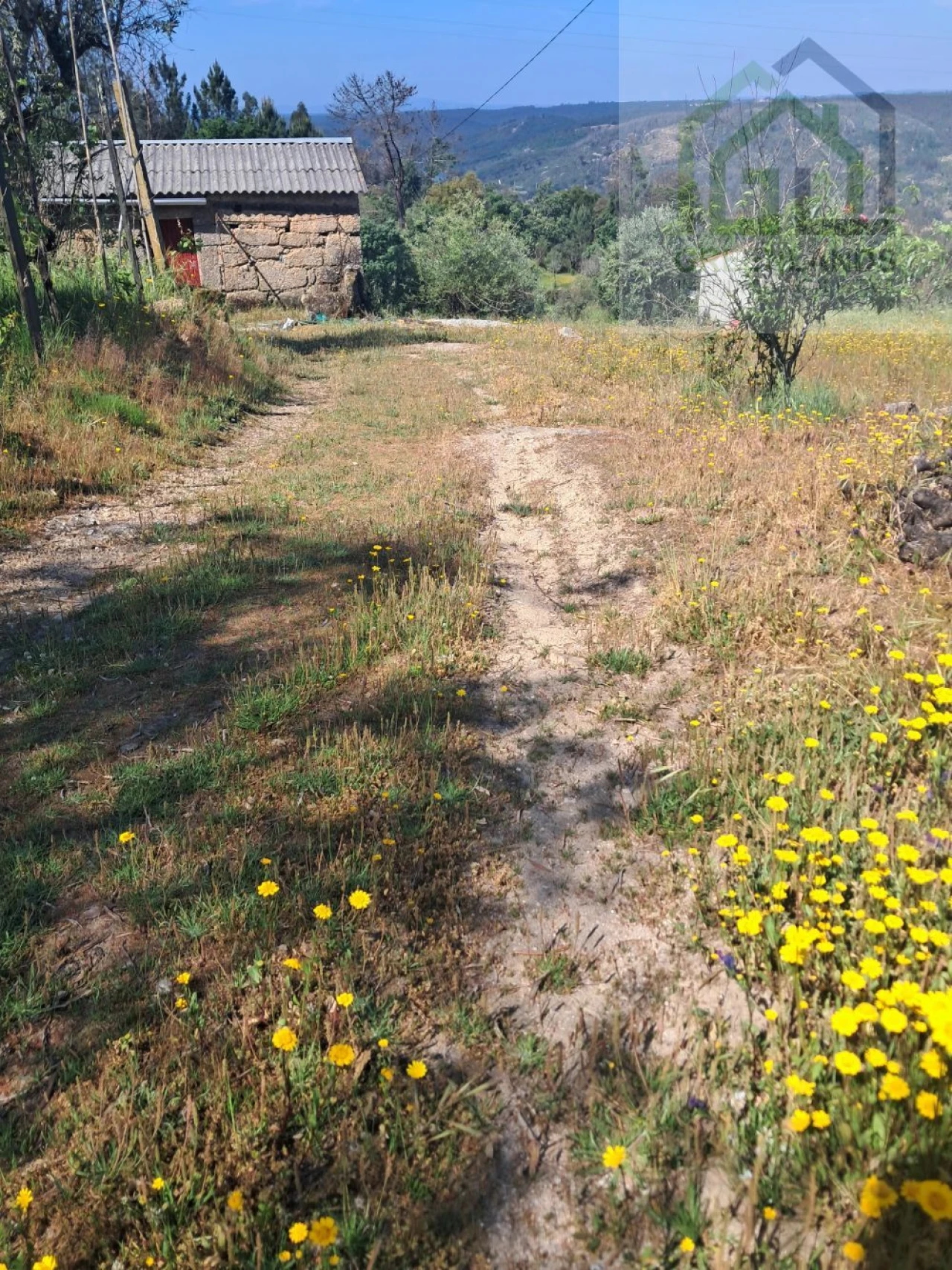Quinta T2 para Venda em Povoa de Midões Foto 24