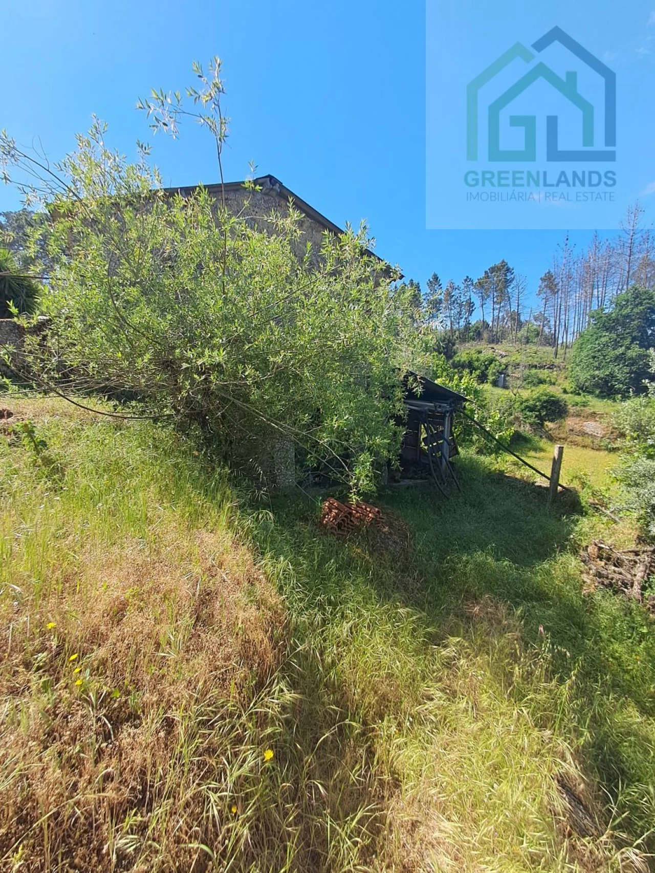 Quinta T2 para Venda em Povoa de Midões Foto 32