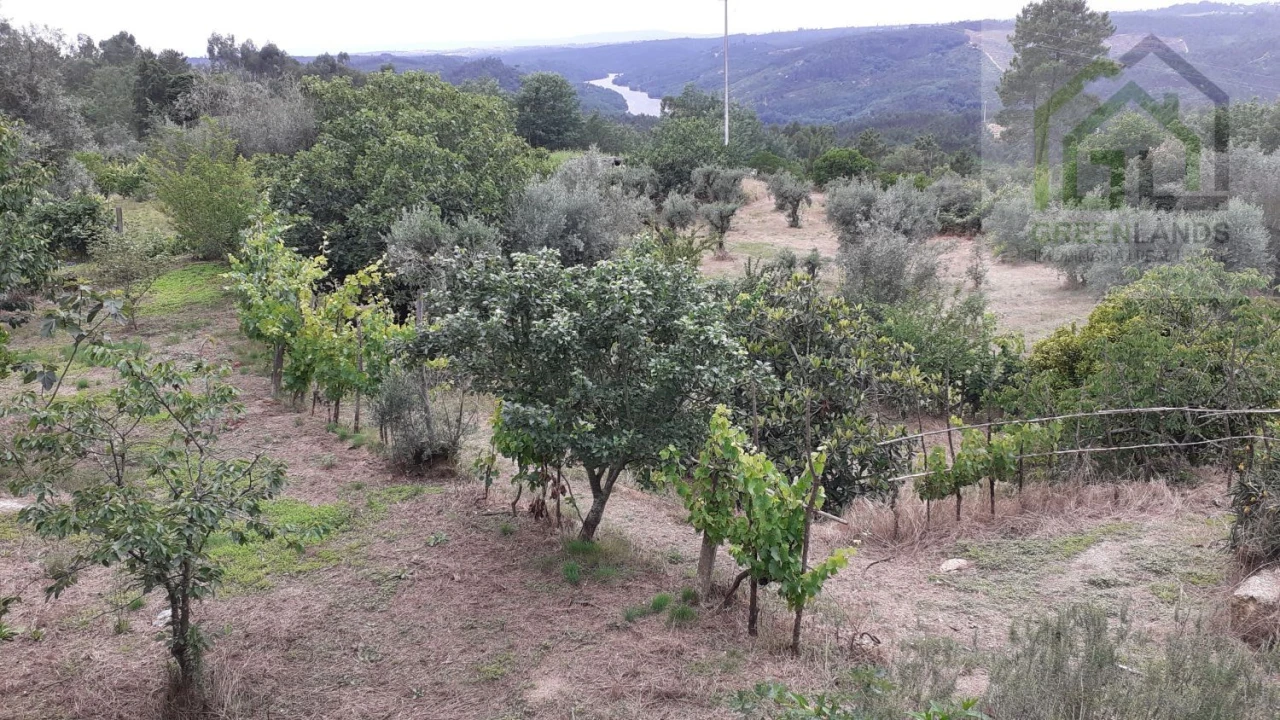 Quinta T2 para Venda em Povoa de Midões Foto 14