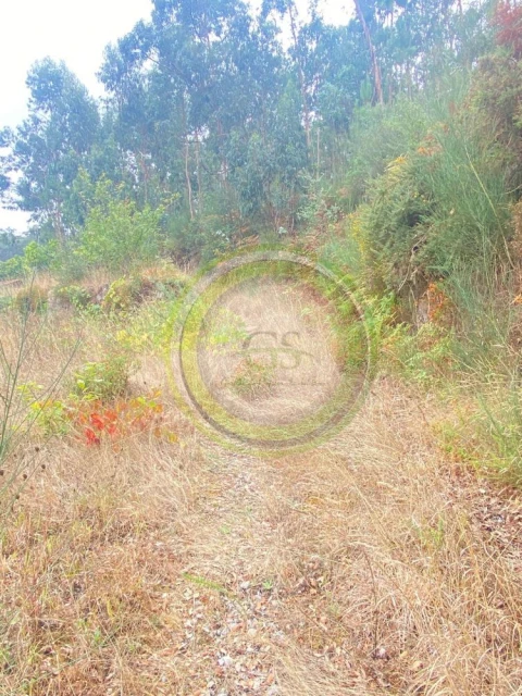 Moradia T3 para Venda em Durrães e Tregosa