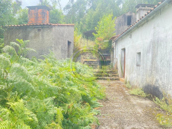 Moradia T3 para Venda em Durrães e Tregosa Foto 48