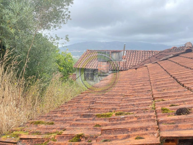 Moradia T3 para Venda em Durrães e Tregosa Foto 68