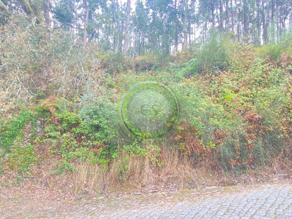 Moradia T3 para Venda em Durrães e Tregosa Foto 42