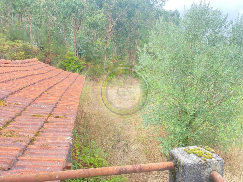Moradia T3 para Venda em Durrães e Tregosa Foto 24