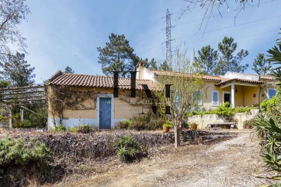 Quinta T6 para Venda em Aveiras de Baixo