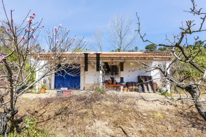 Quinta T6 para Venda em Aveiras de Baixo