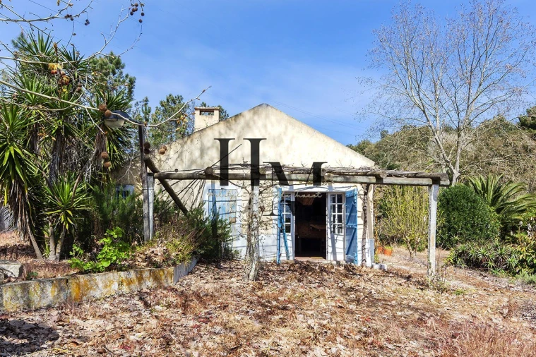 Quinta T6 para Venda em Aveiras de Baixo Foto 15