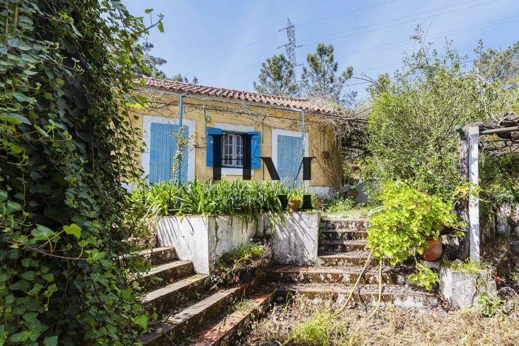 Quinta T6 para Venda em Aveiras de Baixo Foto 16