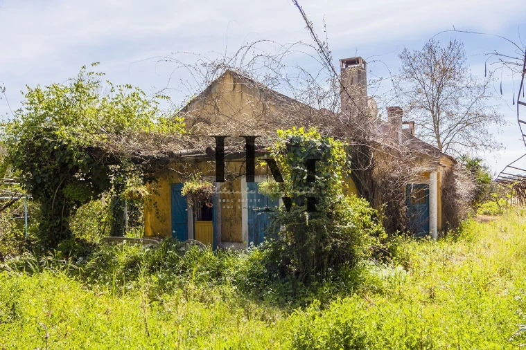 Quinta T6 para Venda em Aveiras de Baixo Foto 3