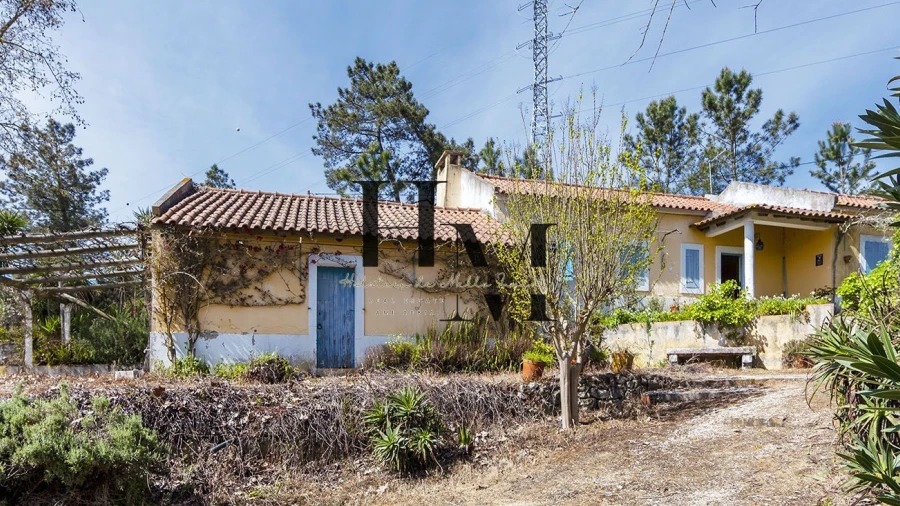 Quinta T6 para Venda em Aveiras de Baixo