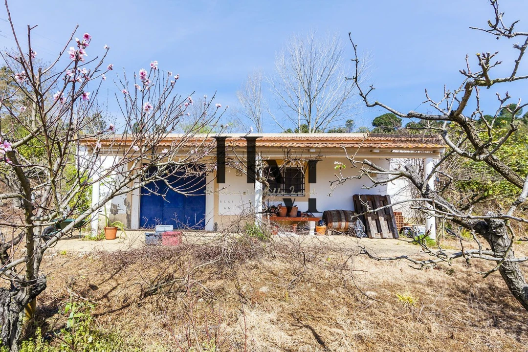 Quinta T6 para Venda em Aveiras de Baixo Foto 23