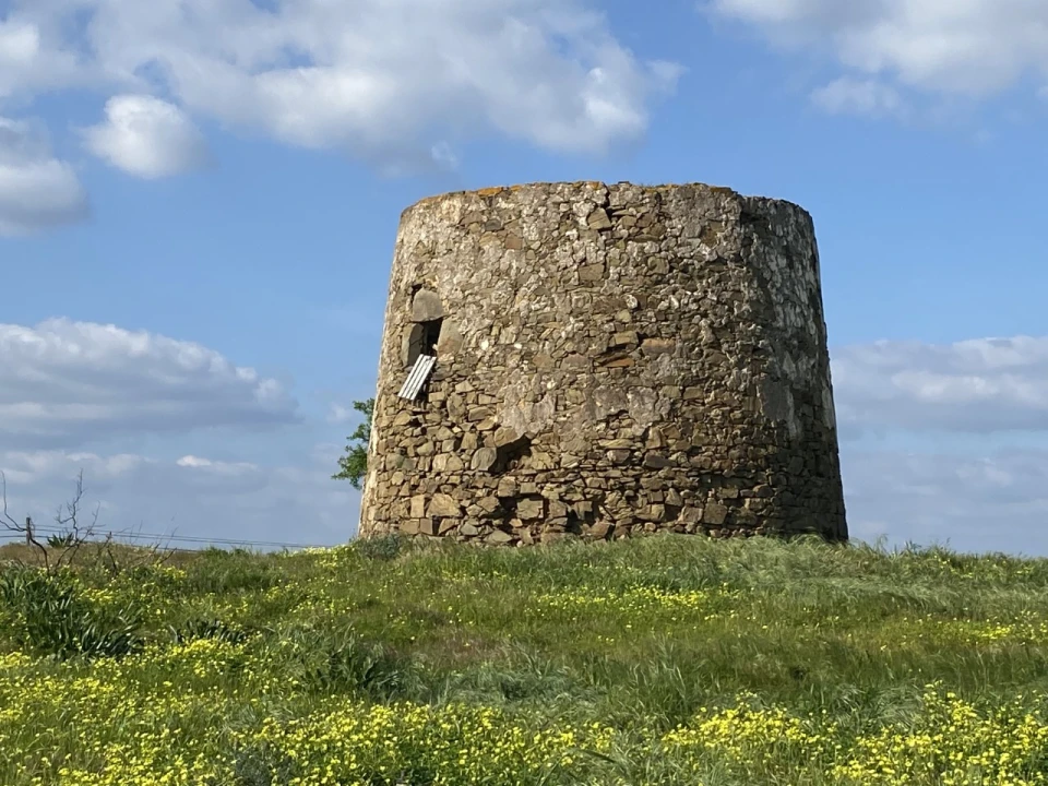 Terreno Misto para Venda em Azinhal Foto 7