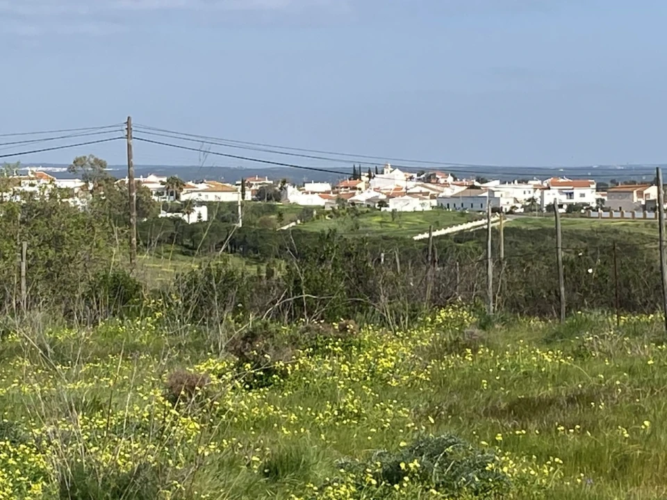 Terreno Misto para Venda em Azinhal Foto 5
