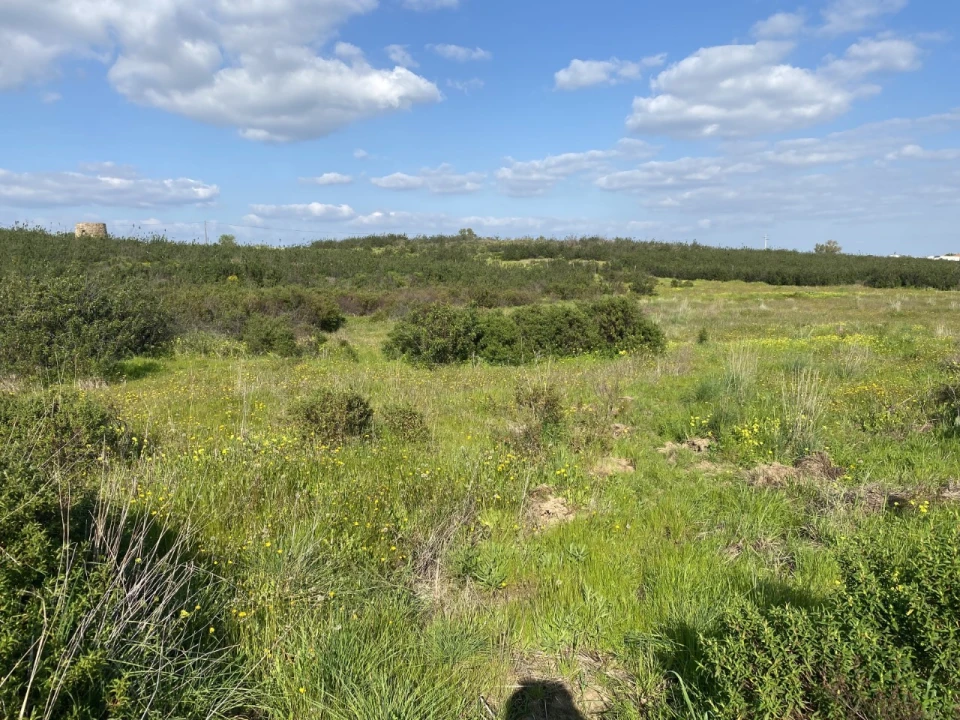 Terreno Misto para Venda em Azinhal Foto 22