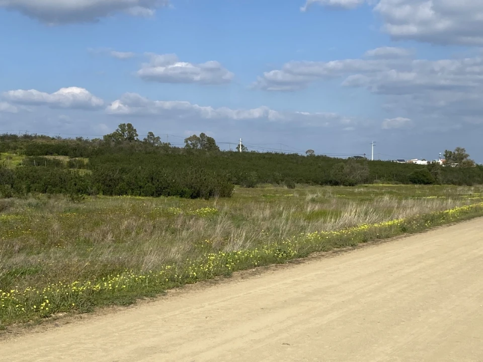 Terreno Misto para Venda em Azinhal Foto 24