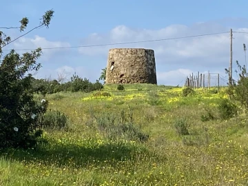 Terreno Misto para Venda em Azinhal