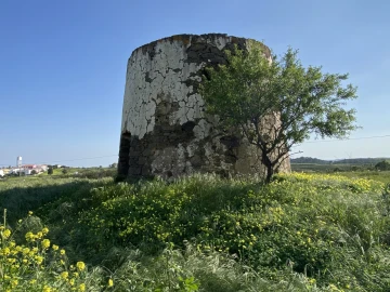 Terreno Misto para Venda em Azinhal