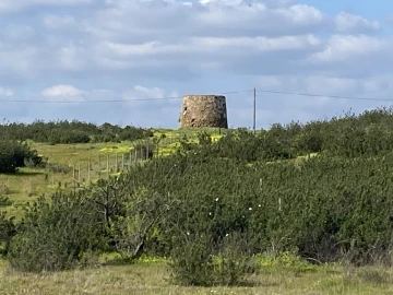 Terreno Misto para Venda em Azinhal