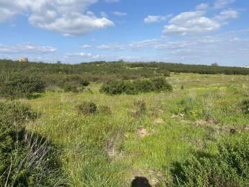 Terreno Misto para Venda em Azinhal