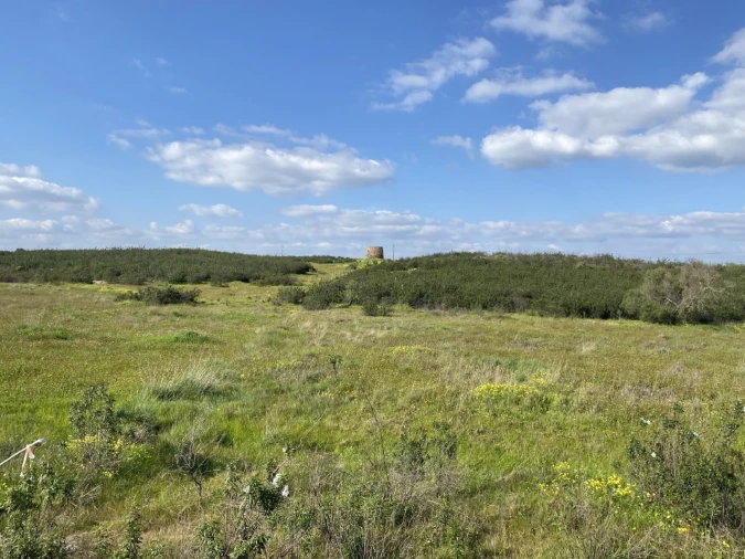Terreno Misto para Venda em Azinhal Foto 21