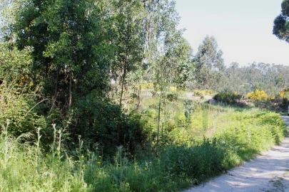 Terreno para Venda em Vilar de Mouros