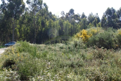Terreno para Venda em Vilar de Mouros
