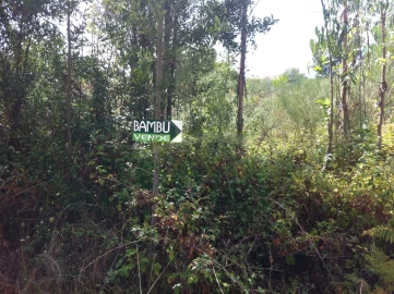 Terreno para Venda em Vilar de Mouros