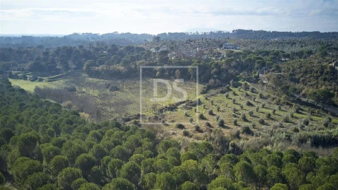 Terreno para Venda em Carregueiros