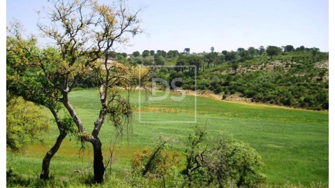Terreno para Venda em Carregueiros
