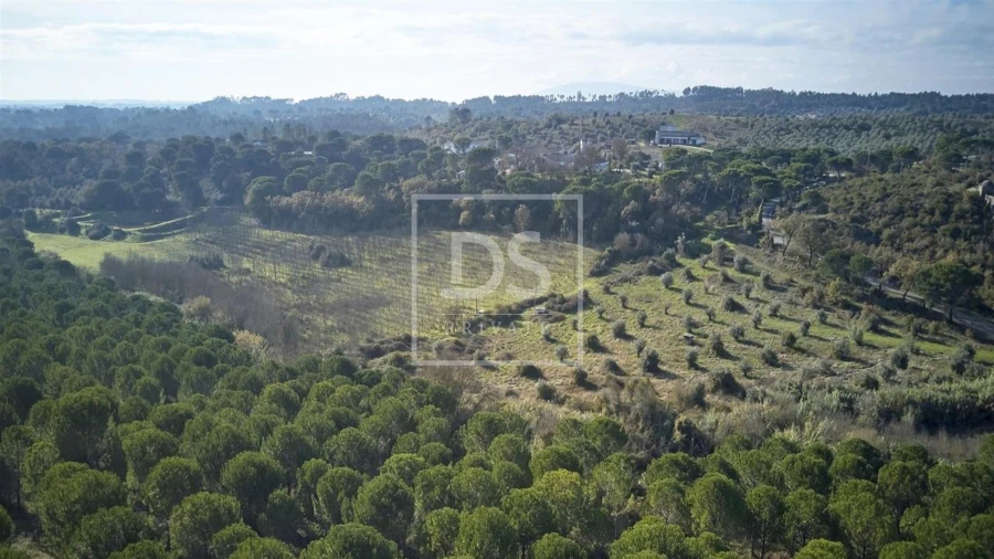 Terreno para Venda em Carregueiros Foto 3