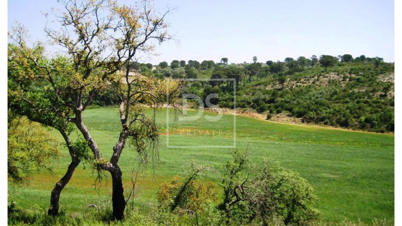 Terreno para Venda em Carregueiros Foto 1