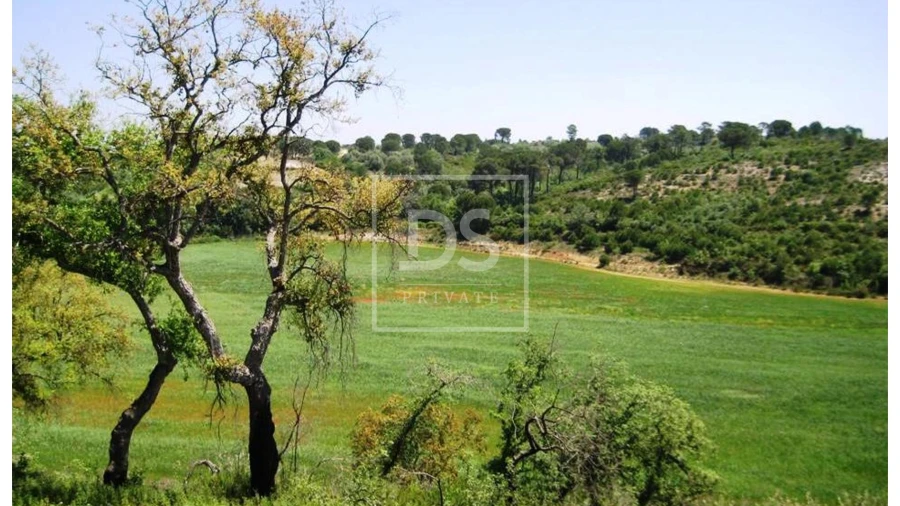 Terreno para Venda em Carregueiros