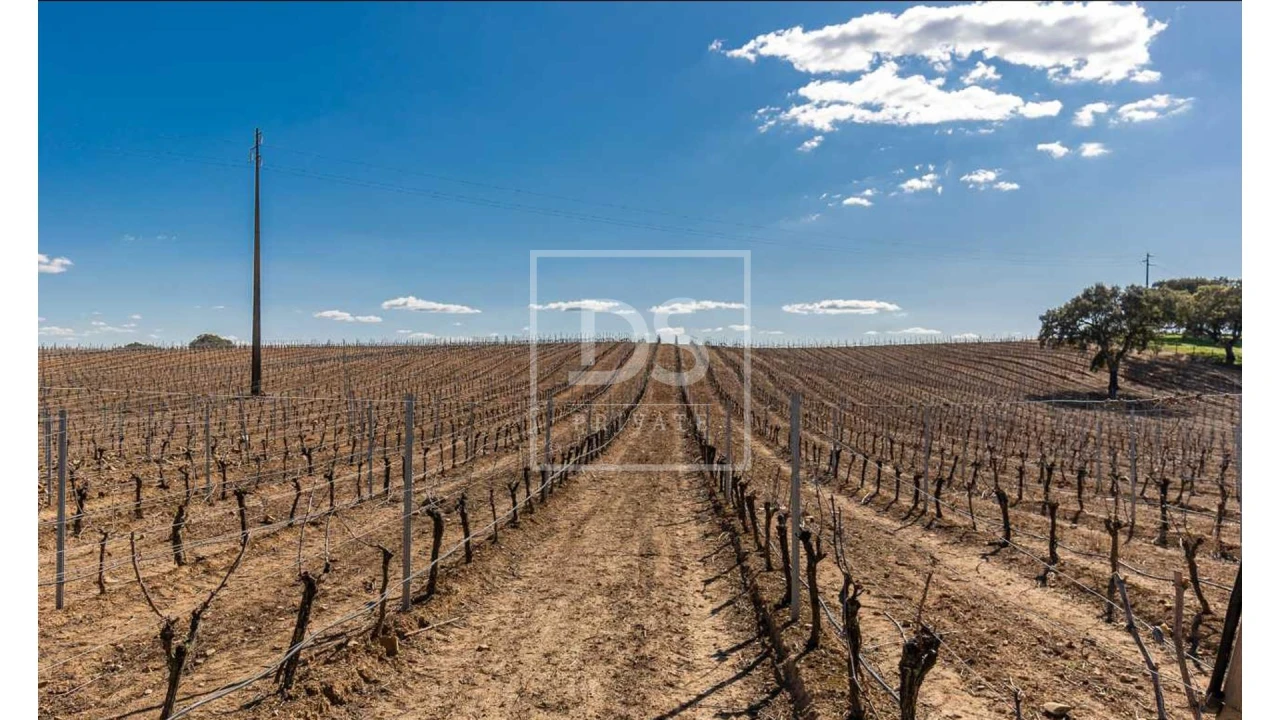 Quinta T10 para Venda em Nossa Senhora da Vila, Nossa Senhora do Bispo e Silveiras Foto 20