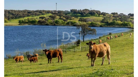 Quinta T10 para Venda em Nossa Senhora da Vila, Nossa Senhora do Bispo e Silveiras
