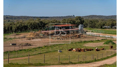 Quinta T10 para Venda em Nossa Senhora da Vila, Nossa Senhora do Bispo e Silveiras