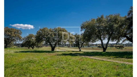 Quinta T10 para Venda em Nossa Senhora da Vila, Nossa Senhora do Bispo e Silveiras