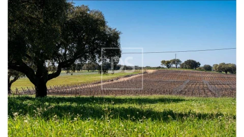 Quinta T10 para Venda em Nossa Senhora da Vila, Nossa Senhora do Bispo e Silveiras