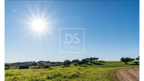 Quinta T10 para Venda em Nossa Senhora da Vila, Nossa Senhora do Bispo e Silveiras