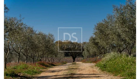 Quinta T10 para Venda em Nossa Senhora da Vila, Nossa Senhora do Bispo e Silveiras