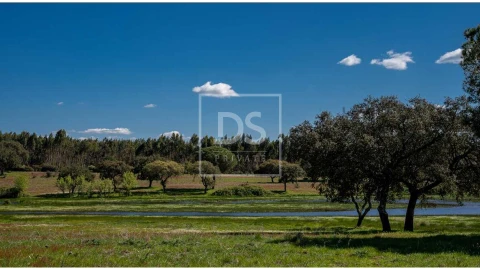 Quinta T10 para Venda em Nossa Senhora da Vila, Nossa Senhora do Bispo e Silveiras