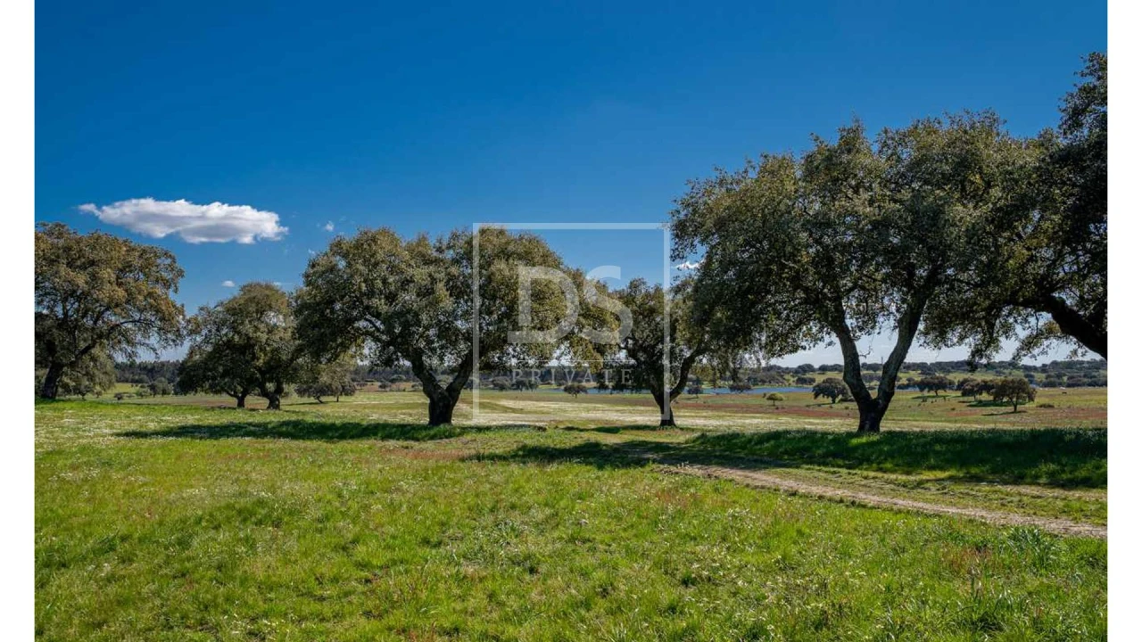 Quinta T10 para Venda em Nossa Senhora da Vila, Nossa Senhora do Bispo e Silveiras Foto 8