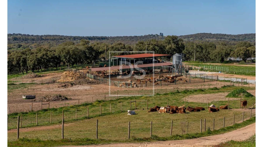 Quinta T10 para Venda em Nossa Senhora da Vila, Nossa Senhora do Bispo e Silveiras Foto 21