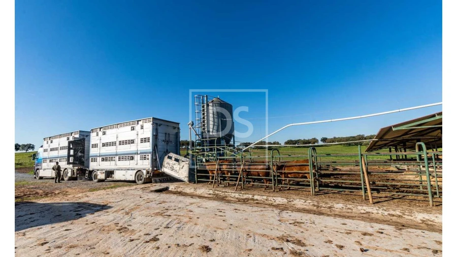 Quinta T10 para Venda em Nossa Senhora da Vila, Nossa Senhora do Bispo e Silveiras Foto 26