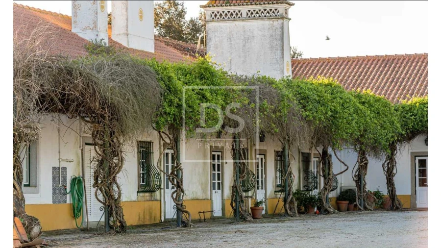 Quinta T10 para Venda em Nossa Senhora da Vila, Nossa Senhora do Bispo e Silveiras Foto 14