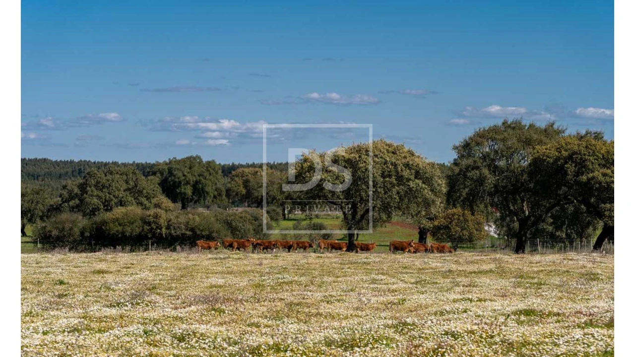 Quinta T10 para Venda em Nossa Senhora da Vila, Nossa Senhora do Bispo e Silveiras Foto 19