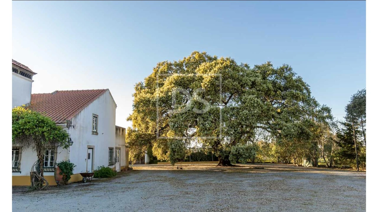 Quinta T10 para Venda em Nossa Senhora da Vila, Nossa Senhora do Bispo e Silveiras Foto 4