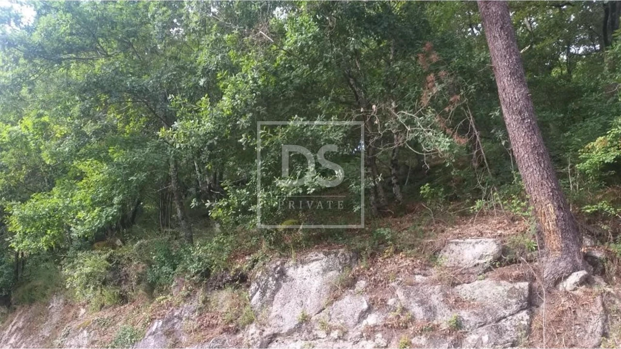 Terreno para Venda em Valdosende Foto 9