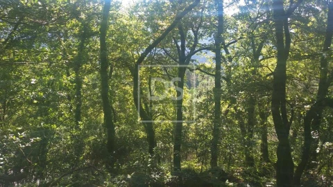 Terreno para Venda em Valdosende